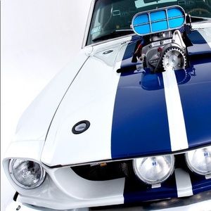 Meet your Posher, Gary